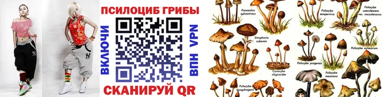 Галлюциногенные грибы Cubensis Грязовец